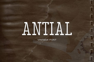 Antial: The Retro Serif That Elevates Campaign Design