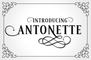 Antonette: The Luxuriant Serif Font for Retro Branding Projects
