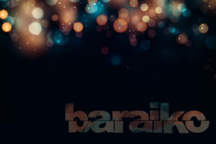 Baraiko: The Vintage Sans Serif Font for Handmade Products