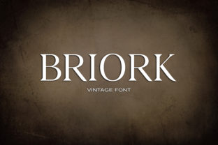 Briork: A Bold Vintage Serif for Retro Brand Identity