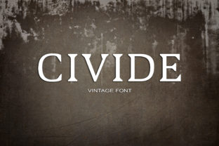 Civide: A Retro Serif Typeface for Bold Web Design