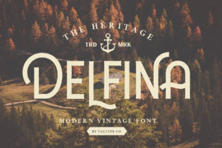 Delfina: The Retro Sans Serif Font That Spikes Campaign Engagement