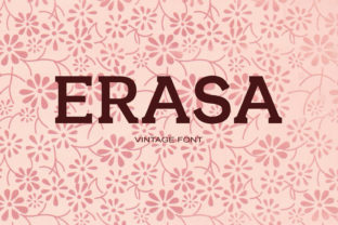 Erasa: The Retro Serif Font That Stops Scrolling
