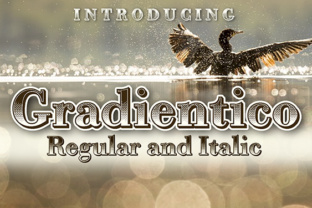 Gradientico: The Retro Serif Font That Transformed My Brand
