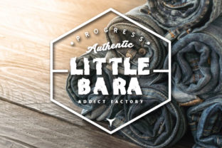 Littlebara: A Retro Sans Serif Font for Standout Web Design