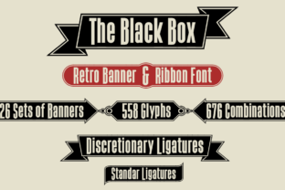 The Black Box: A Designer's Honest Review for Real Projects